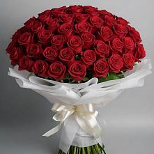 Букет 101 Красная роза Блэк Мэджик #REPLACE_PRED# Амерево