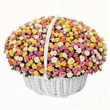 Премиум букет из: Розы в Амерево