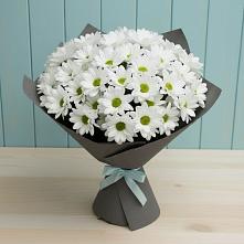 Букет цветов из:  Хризантемы #REPLACE_PRED# Амерево