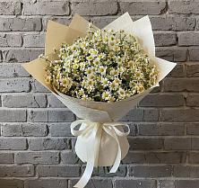 Букет цветов из:  Ромашки #REPLACE_PRED# Амерево