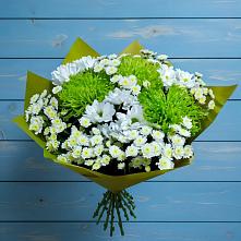Букет цветов из:  Хризантемы #REPLACE_PRED# Амерево